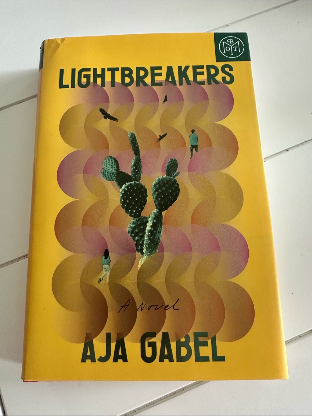 📚4 for $30 BOOK SALE - Lightbreakers by Aja Gabel